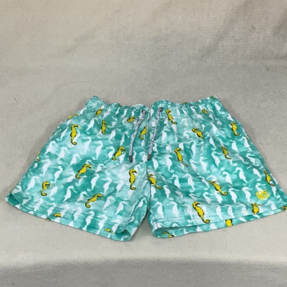 EUC Mens Island Haze swim trunks with mesh lining